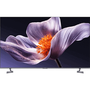 Imagem de televisão Elector Nova exibindo uma flor roxa com detalhes em laranja vibrante.