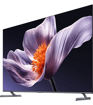 Imagem de um televisor Elector Nova com uma flor roxa na tela.